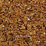 Семена льна масличного фото