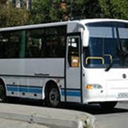 Аренда автобуса фото