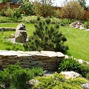 Уход за растениями в ландшафте фото