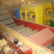 Машины плодомоечные со щетками (леска) для овощей и фруктов. фото