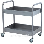 Тележка ТСП фото