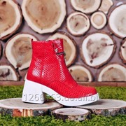 Красные ботинки на белой подошве код С522б1 фото