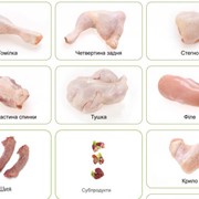 Мясо птицы охлажденное фото