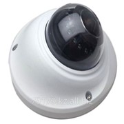 Панорамная цветная видеокамера “Рыбий глаз“ PHD565-1.3M фотография