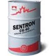 Масло для газовых двигателей Petro-Canada SENTRON фото