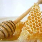 Мед натуральный (Продукция пчеловодства) фотография