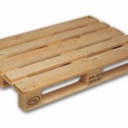 Европоддоны фото