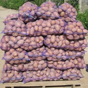 Продам картофель оптом от 10 тонн, доставка по всей Украине. Звони! фото