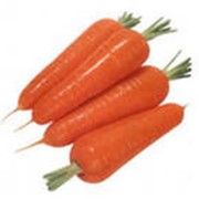 Свежая морковь фотография