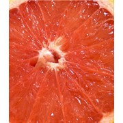 Грейпфрут фото