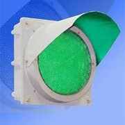 Noname Секция зеленая 200 мм светофорная (не стандарт) арт. СцП23390 фото