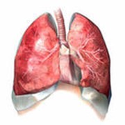 Лечение органов дыхания фото