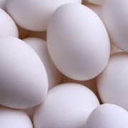 Свежие куриные яйца фото