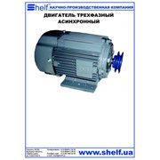 Двигатель трёхфазный асинхронный 3-phase motor