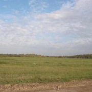 Услуги по купле-продаже земельных участков фото
