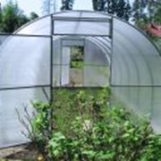 Поликарбонат сот. 3,5 мм Greenhouse