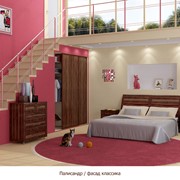 Мебель для спальни Палисандр / Фасад классика