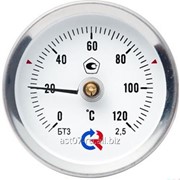 Термометр биметаллический 200°C L=60 (50) фотография