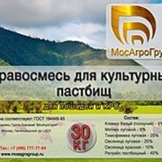 Травосмесь для культурных пастбищ