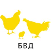 БВД КМ КК-40% для молодняка яичных кур возрастом 1-8 недель Элит фото