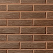 Облицовочная плитка Lode VECAIS BRUNIS коричневая ретро 250x65x10 фото