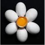 Яйцо столовое С-0 (Белое) фото