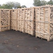 Firewood for export фото