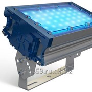 Светильник светодиодный прожекторный TL-PROM 50 PR PLUS FL (Д) Blue