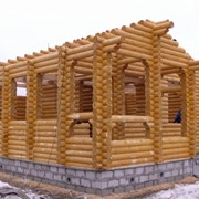 Строительство бань, саун, деревянных домов фотография