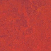 Натуральный линолеум Forbo Marmoleum Real 3131 фото
