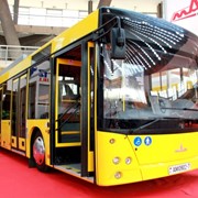 Автобус городской МАЗ 215069