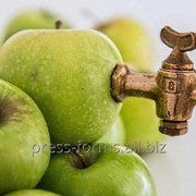 Линия изготовления яблочного сока прямого отжима фото
