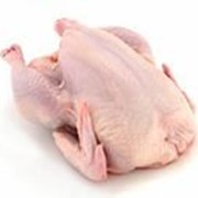 Мясо цыпленка бройлера фотография