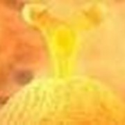 Меланж яичный жидкий пастеризованный фото