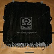 Радиатор охлаждения КРАЗ 260 (Пр-во ШААЗ) фото