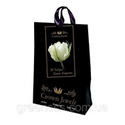 Луковицы цветов -- Bloembollen фото