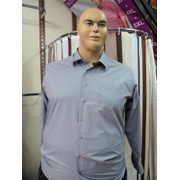 Мужская рубашка Артикул: 145, больших размеров оптом и в розницу