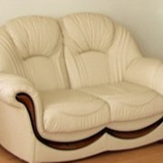 Двухместный кожаный диван Дельта фотография
