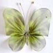 Бабочка декоративная для штор и тюлей большая зеленый полосатый 20*18 см