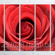 Модульна картина на полотні Велика троянда код КМ100150(150)-013 фотография