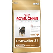 Rottweiler 31 Junior Royal Canin корм для щенков, До 18 месяцев, Ротвейлер, Пакет, 12,0кг фотография