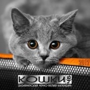 Календарь фото