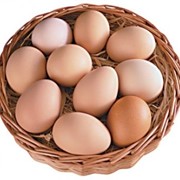 Яйцо коричневого окраса С2 фото