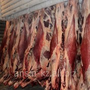 Мясо говядина в полутушах фотография