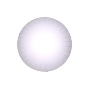 Светильник настенно-потолочный Citilux Лучи CL918002 фотография