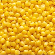 Кукуруза зерна замороженная фото