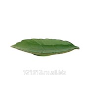 Блюдо листок 25,3см * 15см Киото Грин/6/ 22126B/PT555 фотография