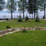 Экологические работы фото