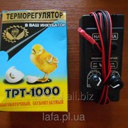 Терморегулятор для инкубатора высокоточный бесконтактный ТРТ-1000 фото