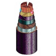 Силовые кабели с медными жилами,с бумажной пропитанной изоляцией, в свинцовой оболочке, бронированные марки СБ (ГОСТ 18410-73) фото